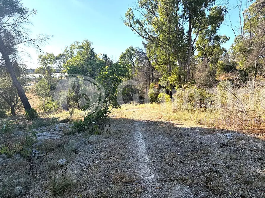 Immagine 27 di Rustico / casale in vendita  in Strada Provinciale 194 a Sannicola