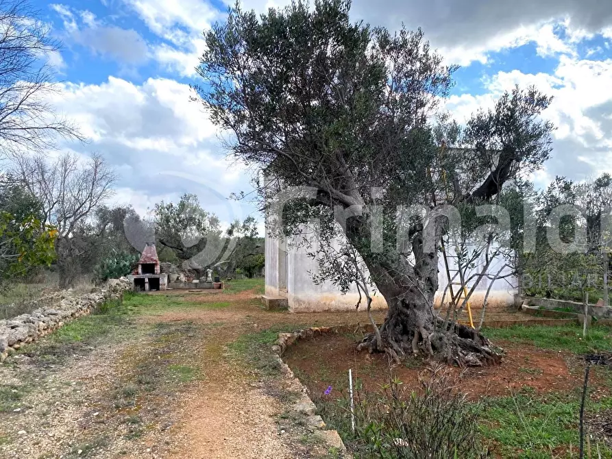 Immagine 10 di Terreno edificabile in vendita  in Santa Teresa a Sannicola