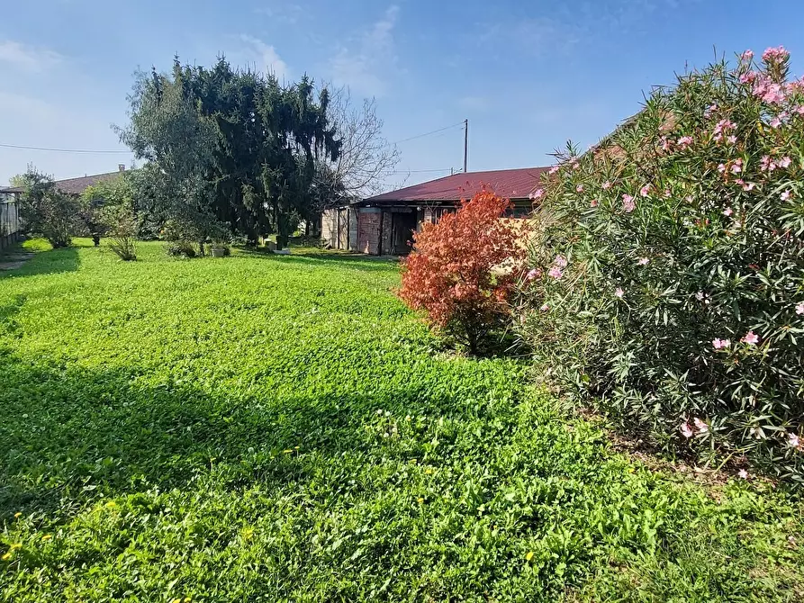 Immagine 18 di Casa indipendente in vendita  in Via Monte Grappa 2020 a Asigliano Vercellese