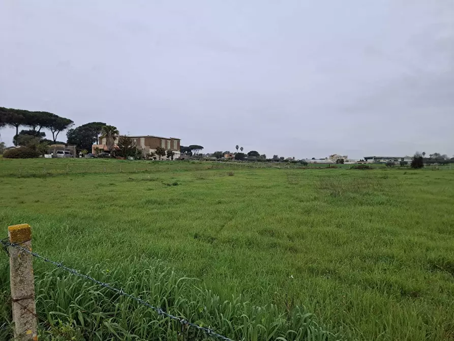 Immagine 1 di Terreno agricolo in vendita  in Via del Pino a Nettuno