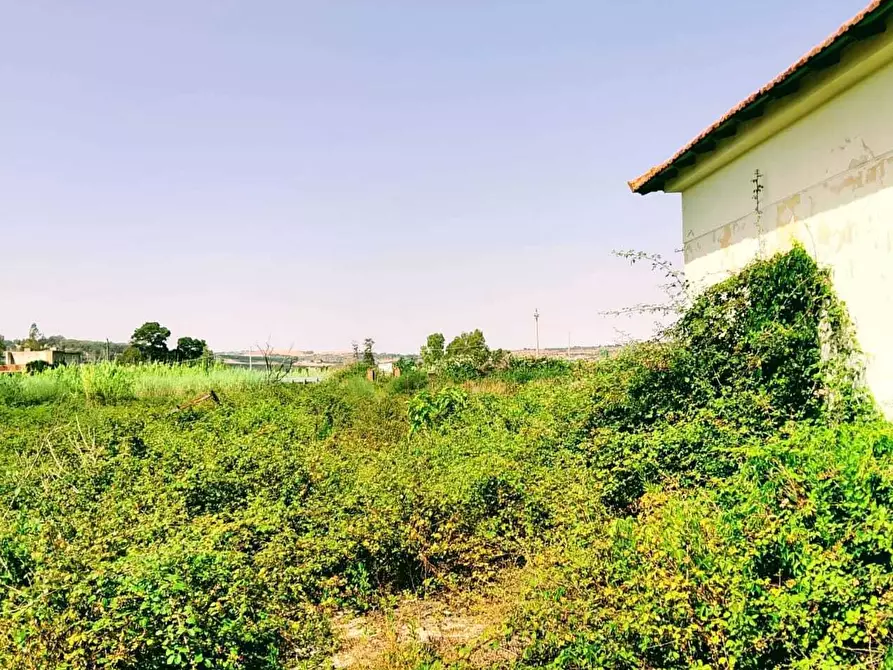 Immagine 31 di Terreno agricolo in vendita  in Lungomare Agnone Bagni a Augusta