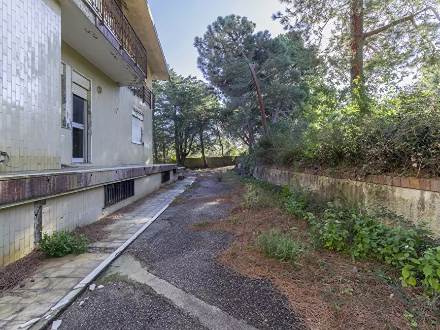 Immagine 9 di Villa in vendita  in Contrada Piano Rocca snc a Messina