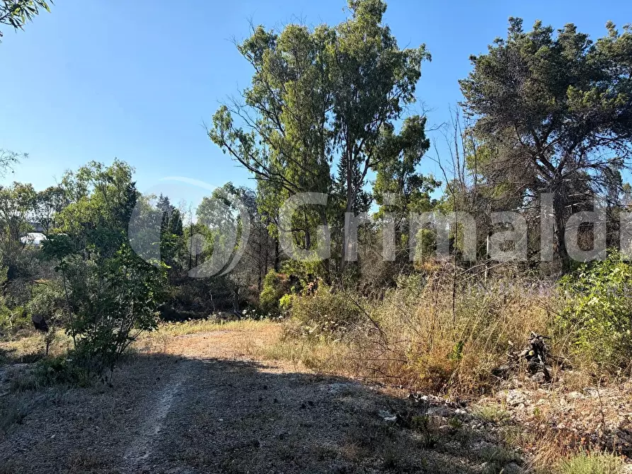 Immagine 26 di Rustico / casale in vendita  in Strada Provinciale 194 a Sannicola