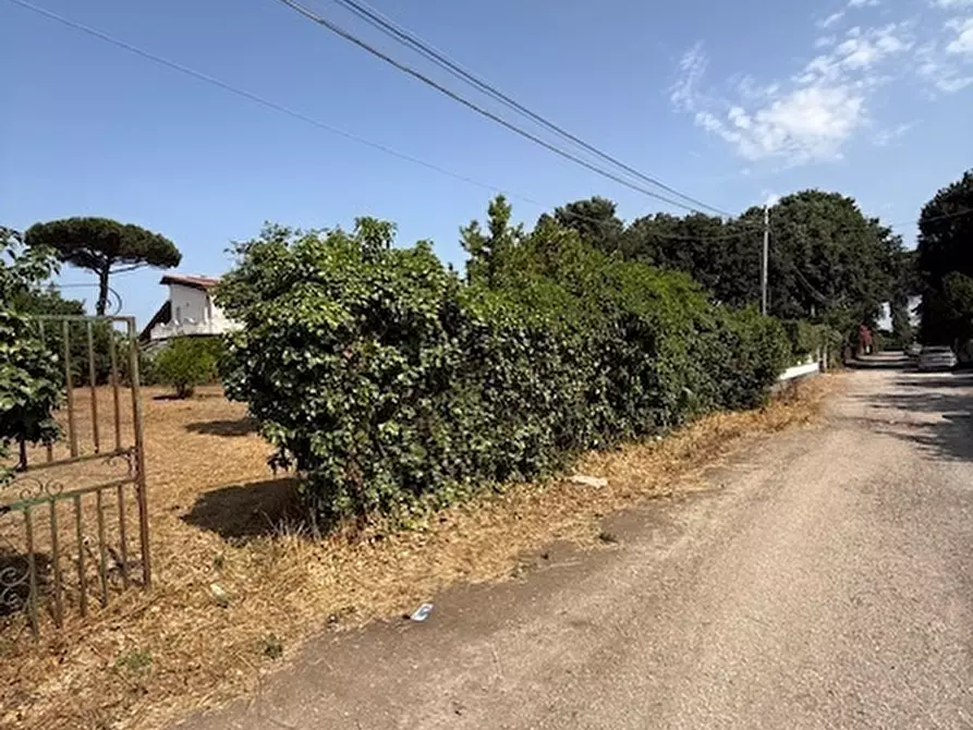 Immagine 17 di Terreno edificabile in vendita  in Via Viminale a Nettuno