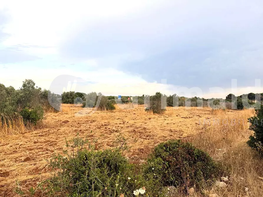 Immagine 14 di Terreno agricolo in vendita  in Strada Statale 274 a Gallipoli