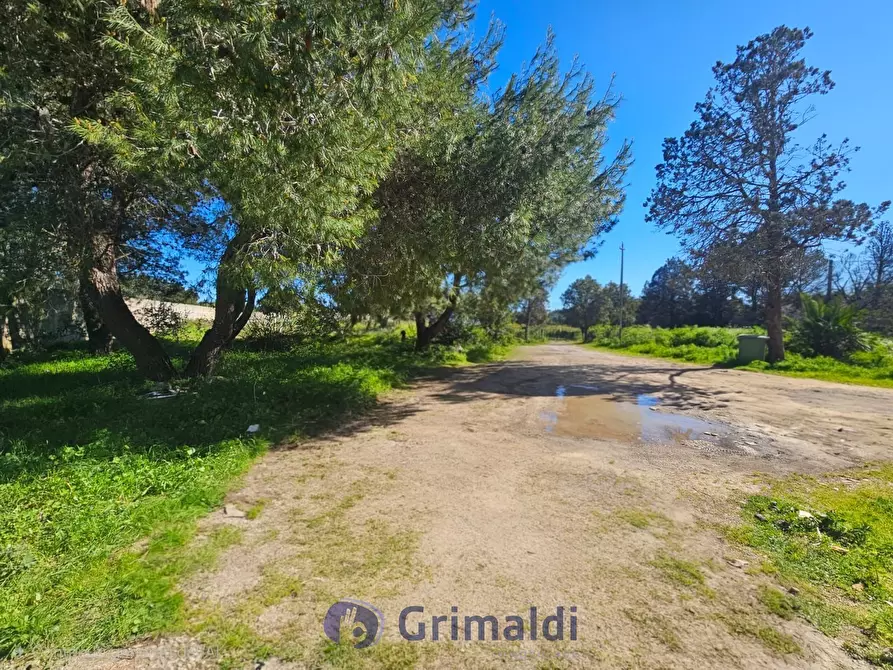 Immagine 28 di Magazzino in vendita  in Via Solano Li Belli 47 a Lequile