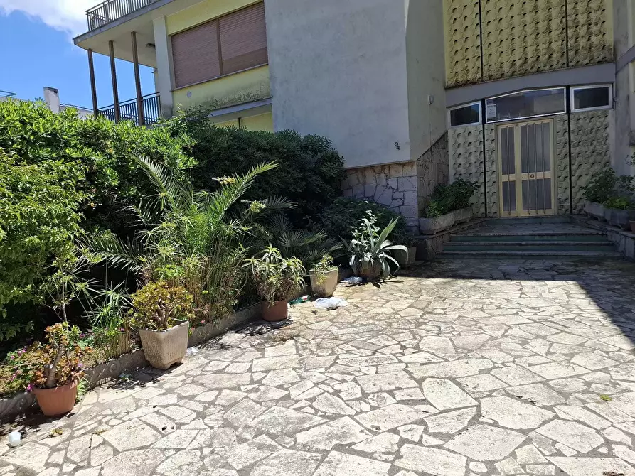 Immagine 14 di Attico in affitto  in viale delle Nereidi 31 a Anzio