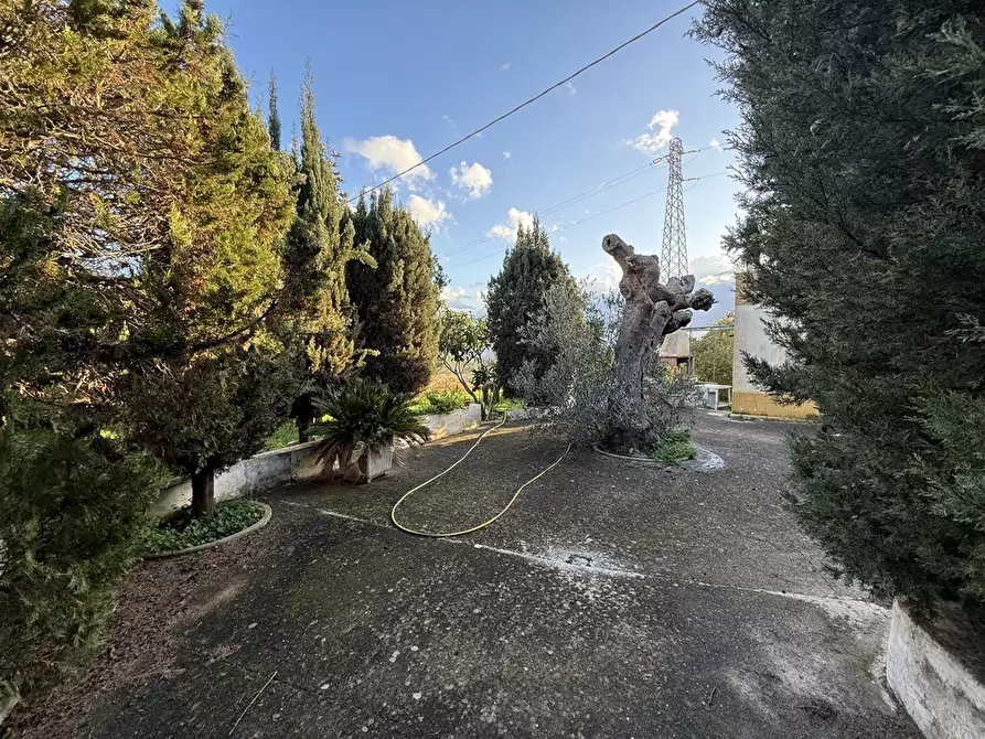 Immagine 6 di Casa indipendente in vendita  in SP361 a Parabita