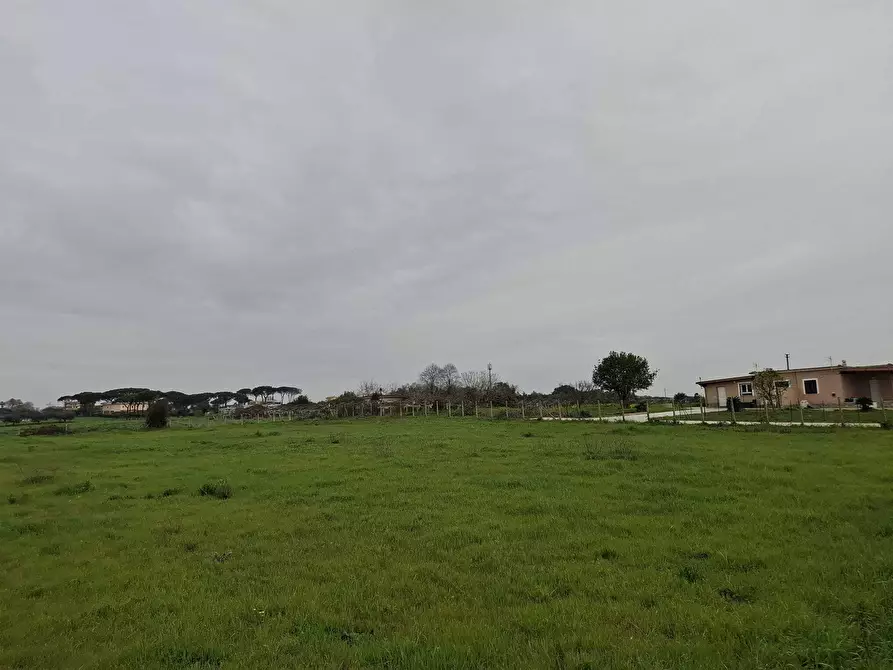 Immagine 10 di Terreno agricolo in vendita  in Via del Pino a Nettuno
