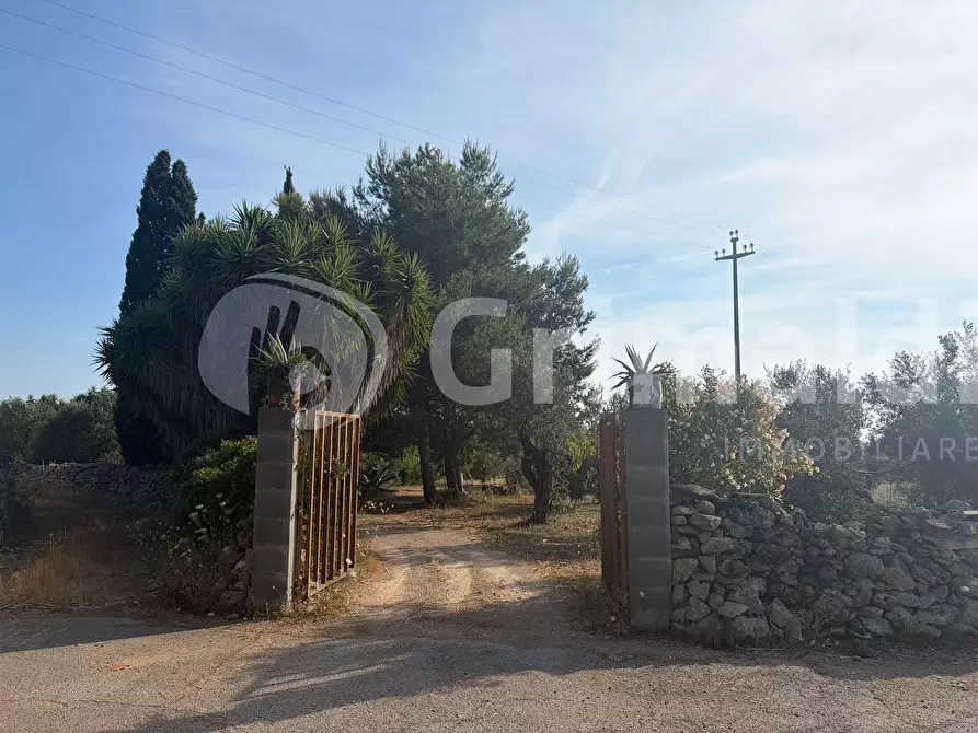 Immagine 13 di Terreno agricolo in vendita  in Contrada Coline a Alezio