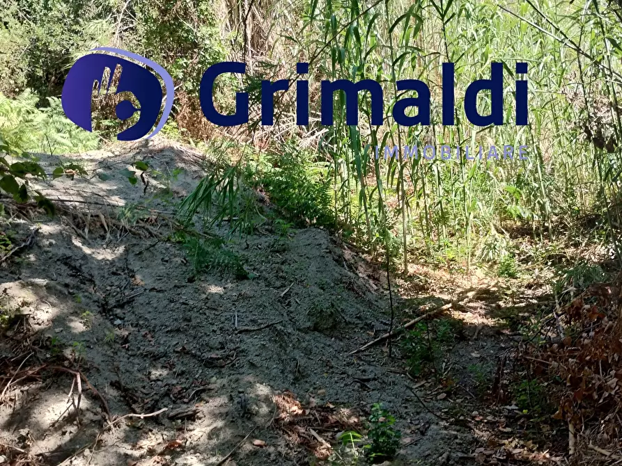 Immagine 1 di Terreno agricolo in vendita  in Corsa Regina Elena SNC a Barano D'ischia