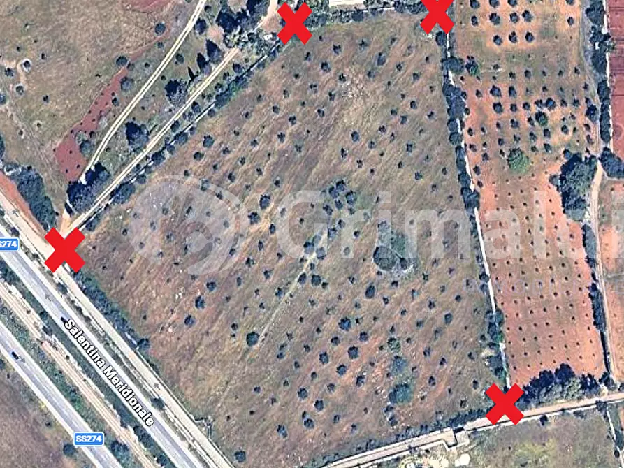 Immagine 6 di Terreno agricolo in vendita  in Strada Statale 274 a Gallipoli