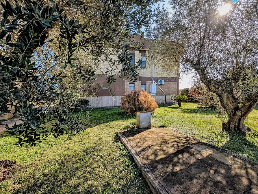 Immagine 13 di Villa in vendita  in Via Granieri 56 a Nettuno