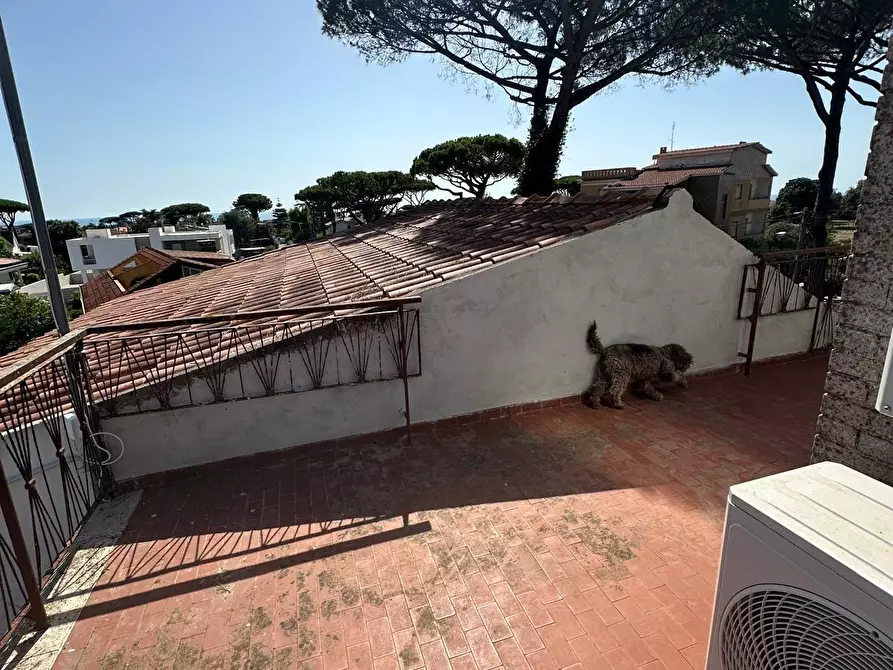 Immagine 21 di Casa trifamiliare in affitto  in Viale Grazia Fiorita 56 a Anzio