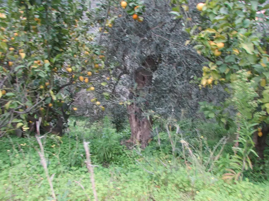 Immagine 33 di Appartamento in vendita  in Via San Paolo Gala 10 a Barcellona Pozzo Di Gotto