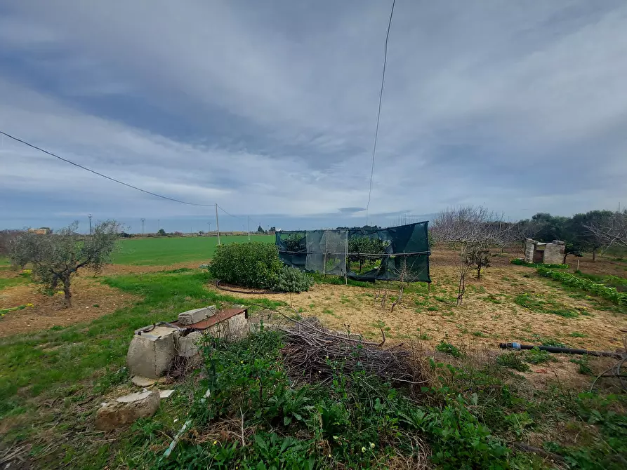 Immagine 5 di Rustico / casale in vendita  in Strada per Baccatani 26 a Brindisi