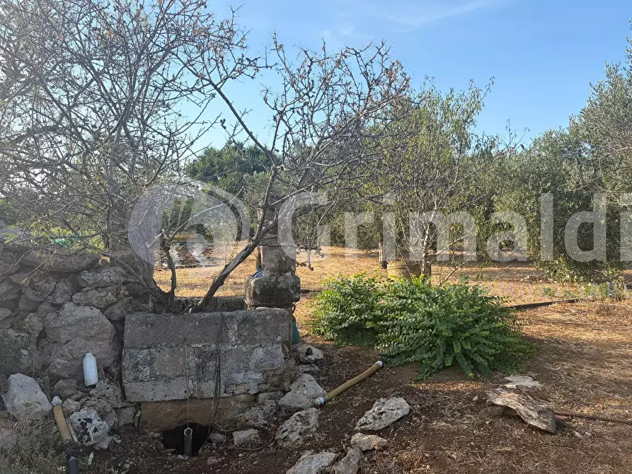 Immagine 2 di Terreno agricolo in vendita  in Contrada Coline a Alezio