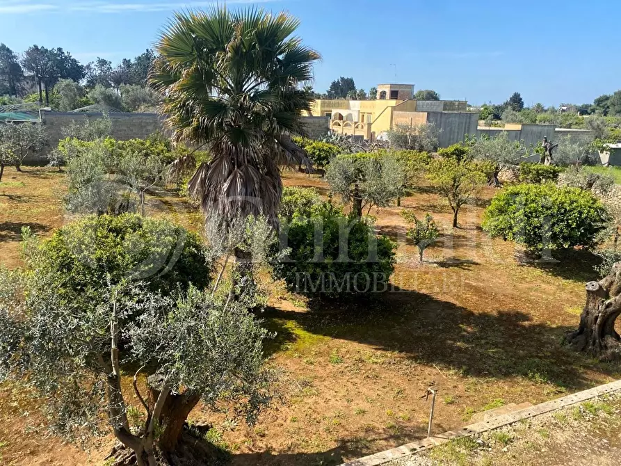 Immagine 9 di Villa in vendita  in strada provinciale 361 a Gallipoli
