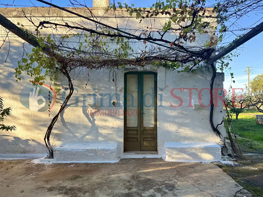 Immagine 9 di Rustico / casale in vendita  a San Vito Dei Normanni