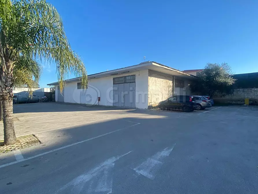 Immagine 2 di Capannone industriale in affitto  a Mugnano Di Napoli