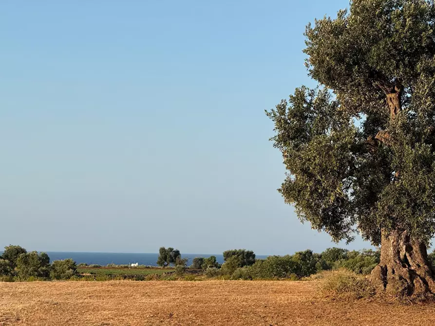 Immagine 13 di Terreno agricolo in vendita  in Contrada Cerasina a Fasano