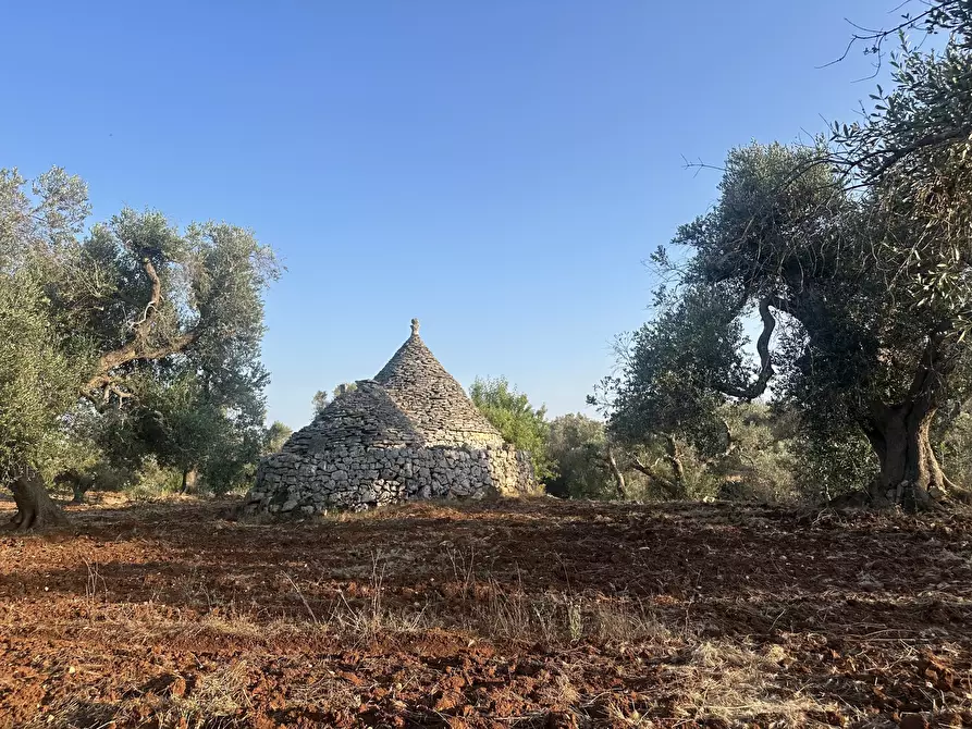 Immagine 23 di Terreno edificabile in vendita  a Ceglie Messapico