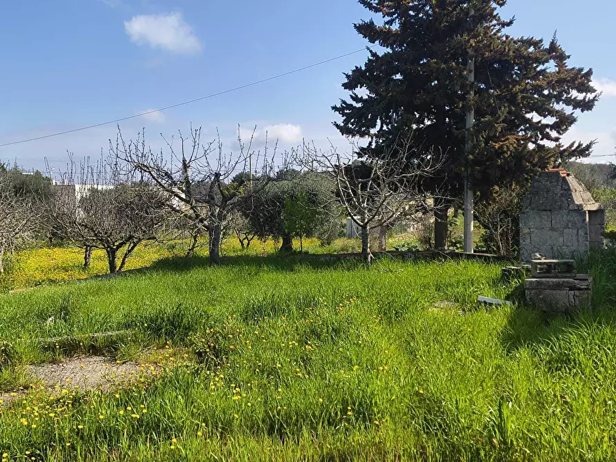 Immagine 15 di Casa indipendente in vendita  in Contrada Ciporrelli a Monopoli