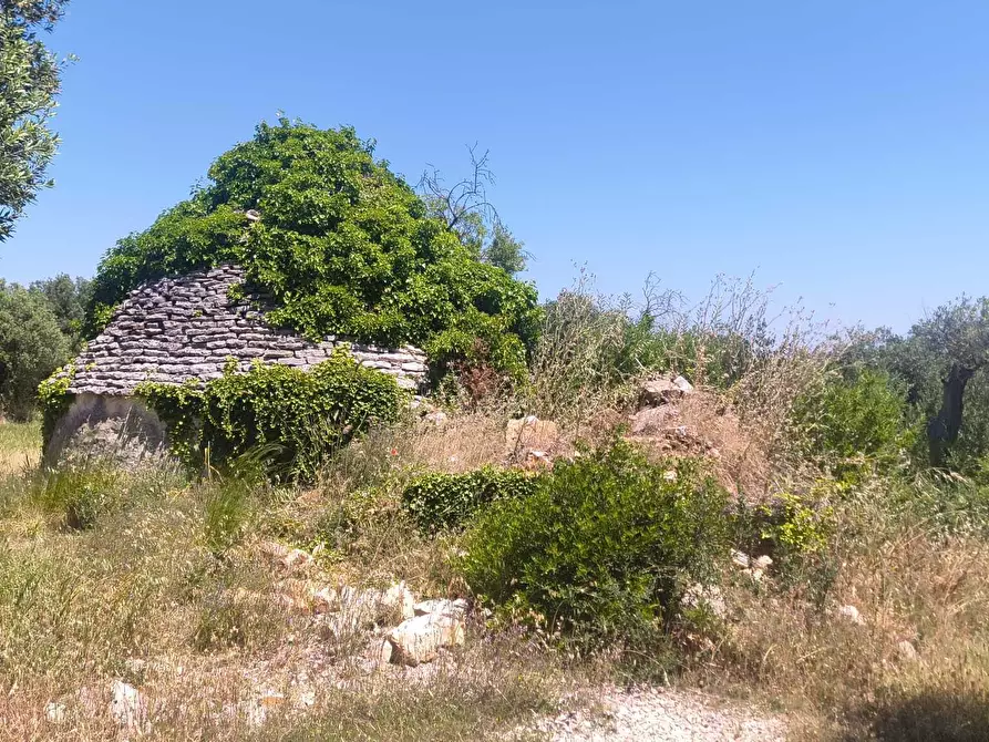 Immagine 2 di Casa indipendente in vendita  in Contrada Balice a Monopoli