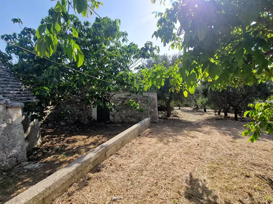 Immagine 19 di Casa indipendente in vendita  in Contrada Pagliericci a Monopoli
