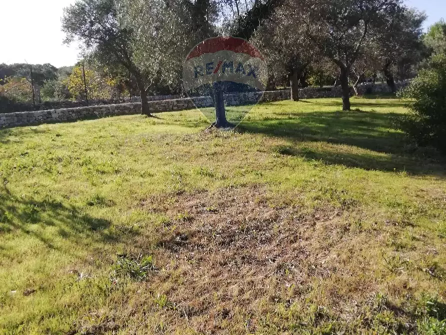 Immagine 17 di Villa in vendita  in Contrada Romanazzi 682/A a Monopoli