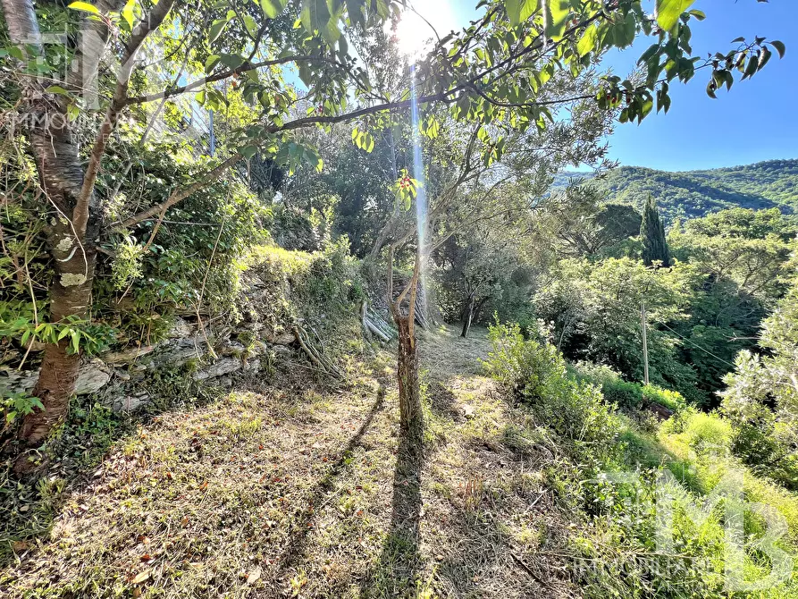 Immagine 15 di Casa indipendente in vendita  in Via Posato 19 a Avegno