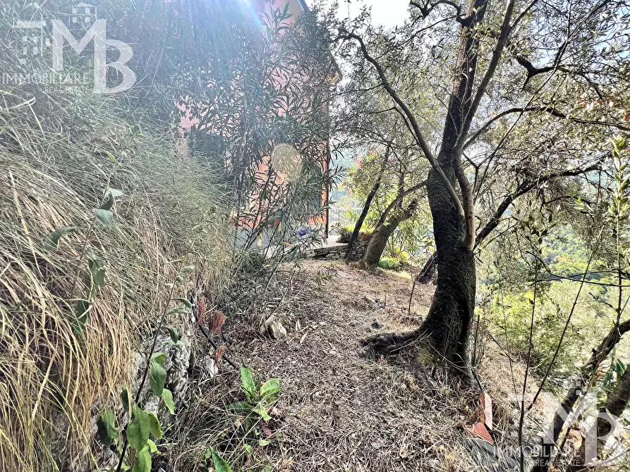 Immagine 36 di Casa indipendente in vendita  in Via Pietrafitta 1 a Avegno