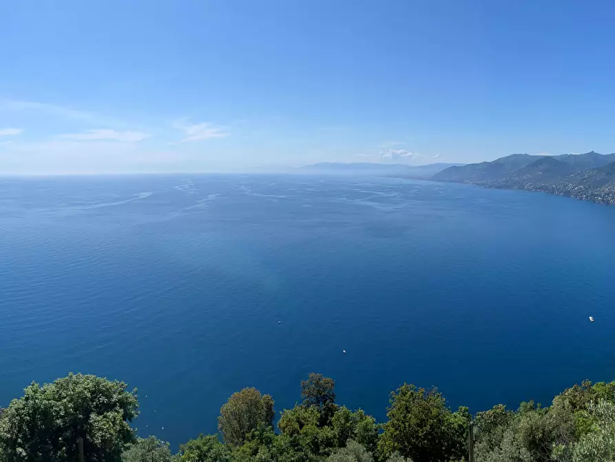 Immagine 5 di Porzione di casa in vendita  a Camogli