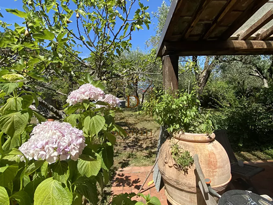 Immagine 45 di Casa bifamiliare in vendita  a Ameglia
