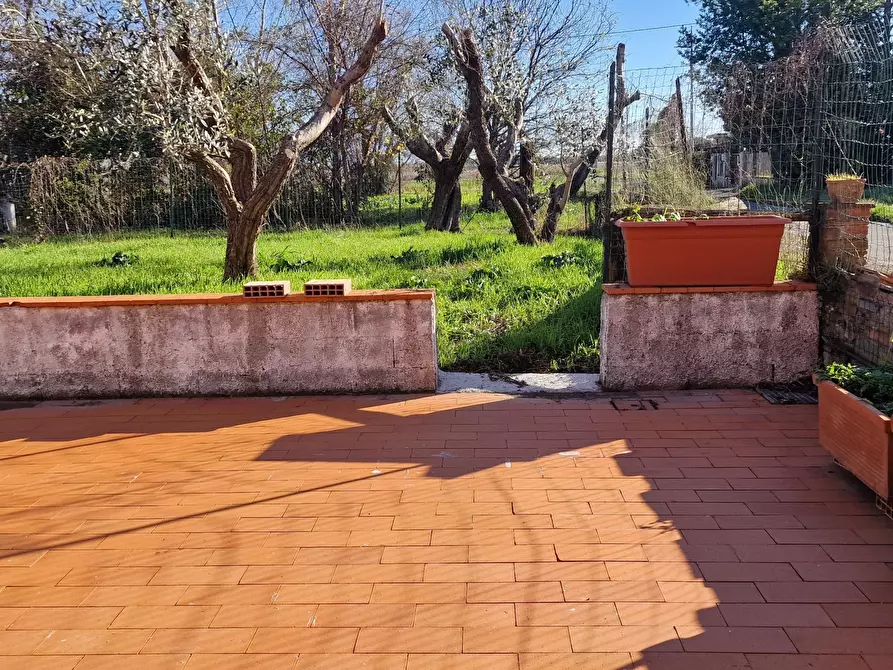 Immagine 3 di Trilocale in affitto  a Ameglia