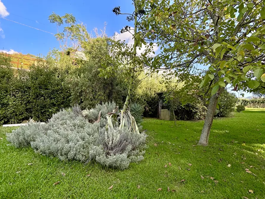 Immagine 111 di Casa indipendente in vendita  a Seravezza