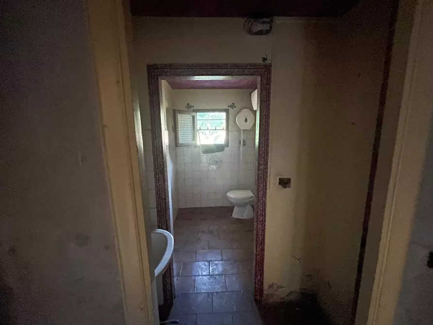 Immagine 17 di Rustico / casale in vendita  a Camaiore