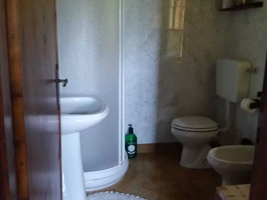 Immagine 26 di Porzione di casa in vendita  a Pietrasanta