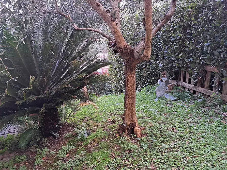 Immagine 56 di Casa indipendente in vendita  a Massarosa