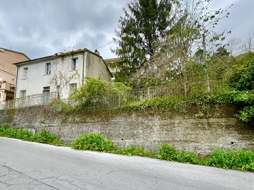 Immagine 5 di Casa indipendente in vendita  a Pietrasanta