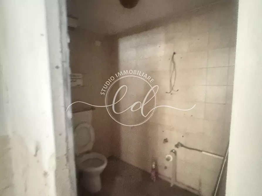 Immagine 25 di Attività artigianale in affitto  a Pietrasanta