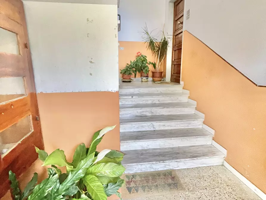 Immagine 28 di Quadrilocale in vendita  a Montignoso