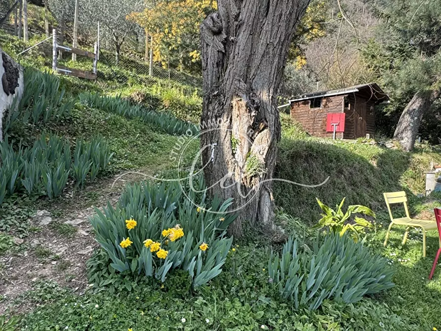 Immagine 15 di Casa indipendente in vendita  a Stazzema