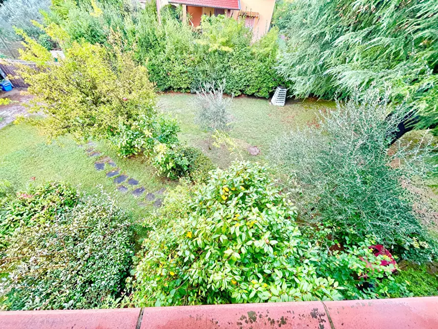 Immagine 18 di Casa indipendente in vendita  a Seravezza