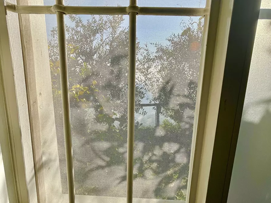 Immagine 32 di Baita in vendita  a Pietrasanta