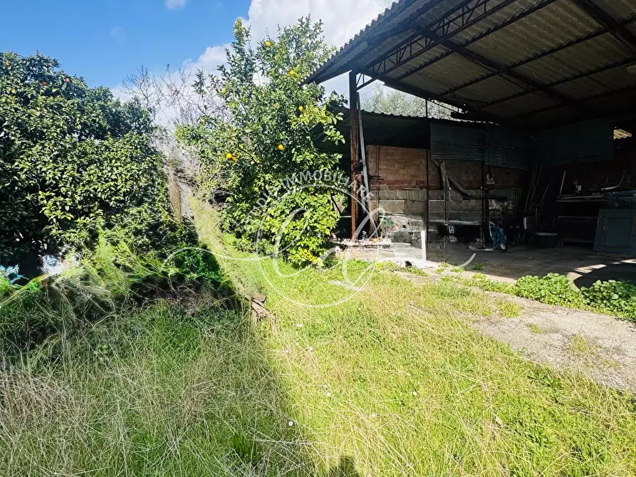 Immagine 9 di Porzione di casa in vendita  a Seravezza