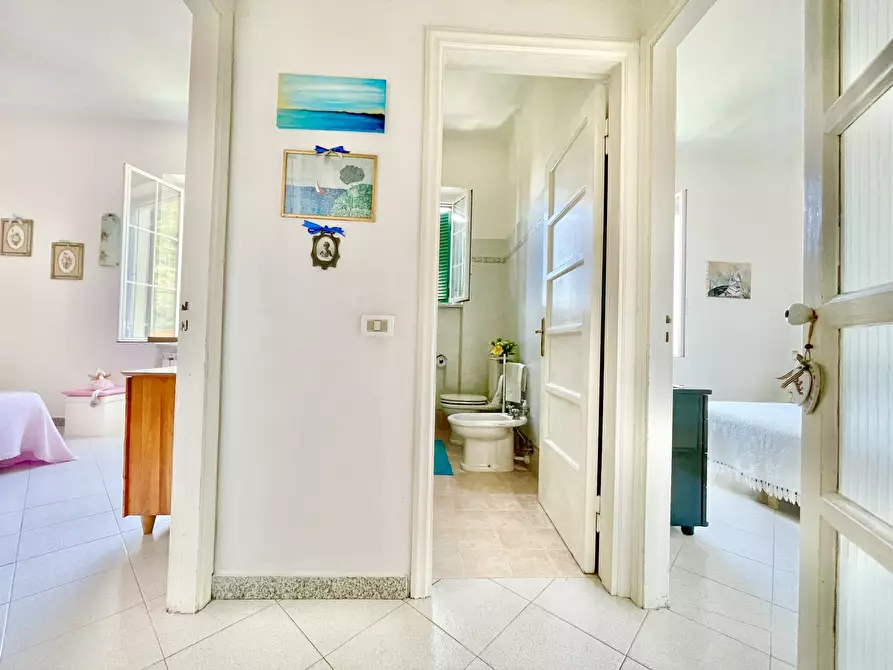 Immagine 24 di Quadrilocale in vendita  a Montignoso