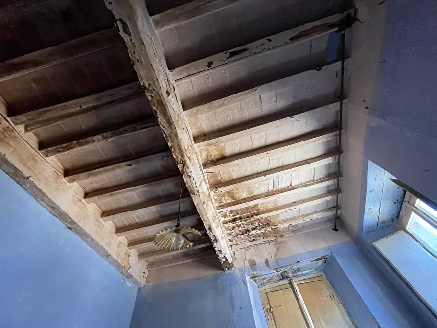 Immagine 30 di Terratetto in vendita  a Seravezza