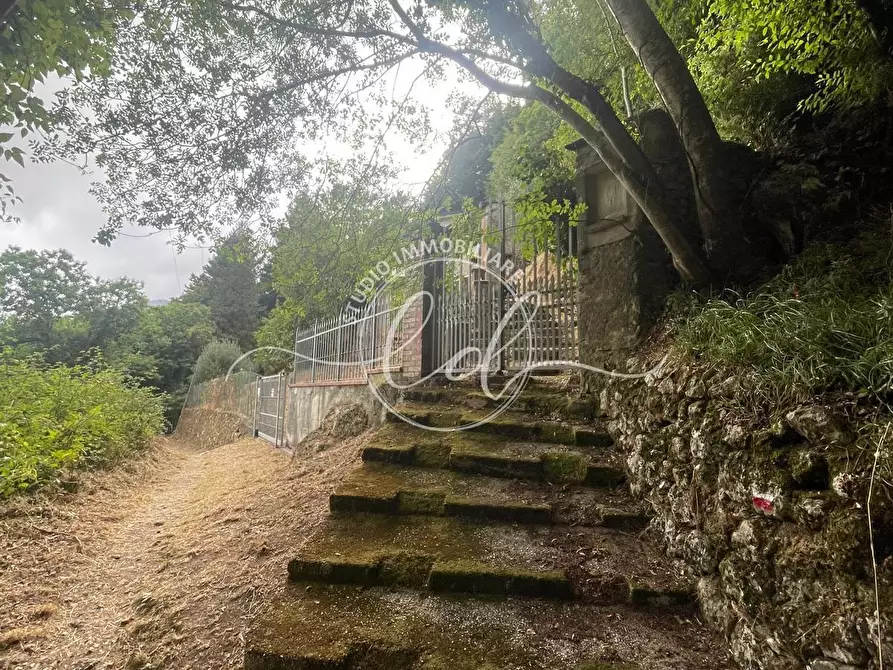 Immagine 17 di Porzione di casa in vendita  a Camaiore