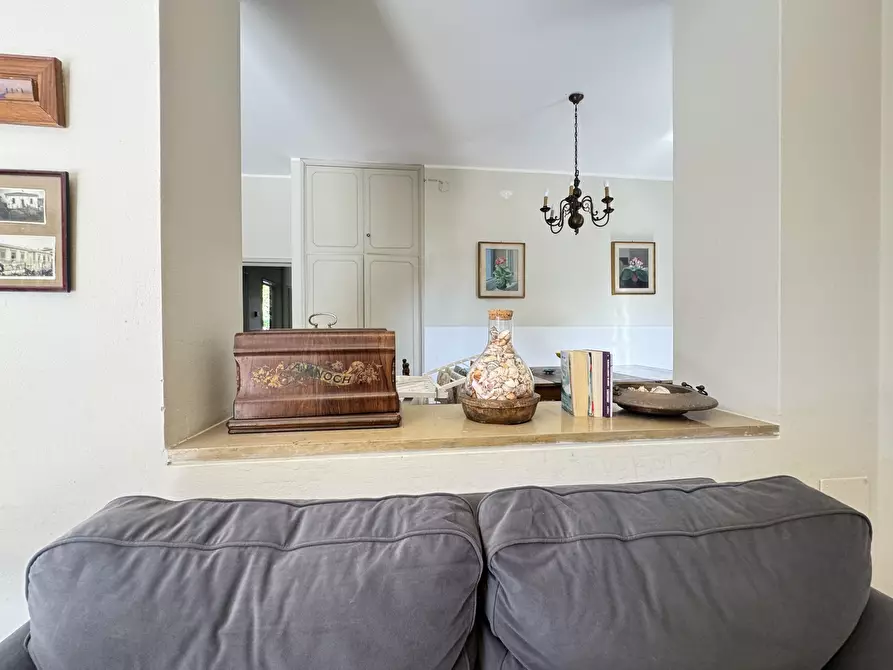 Immagine 7 di Casa indipendente in affitto  a Pietrasanta